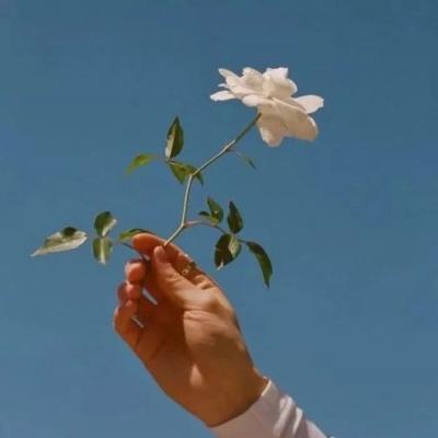 冒险岛手游九游版下载